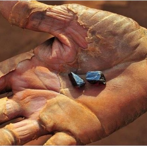 fingerprint Campaiagn