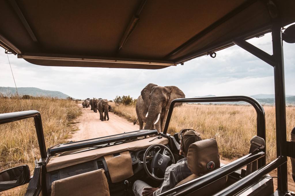5 Lessons African Luxury Safaris, Resorts, Hotels and Travel Industry Can Learn From The Coronavirus
