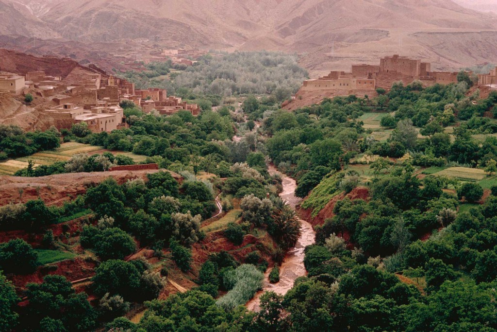 Meknes in Morocco houses two of the country's most popular wineries