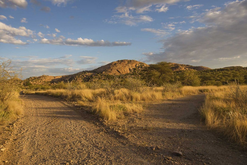 Vineyards are cultivated in Namibia in spite of its climate