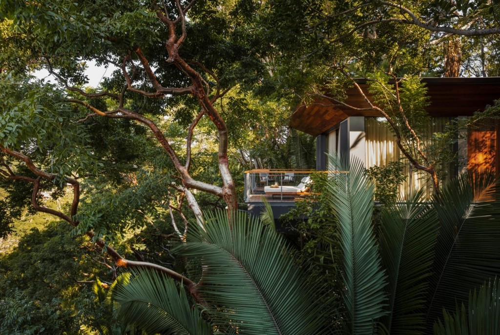 The treehouse suite at the One&Only Mandarina