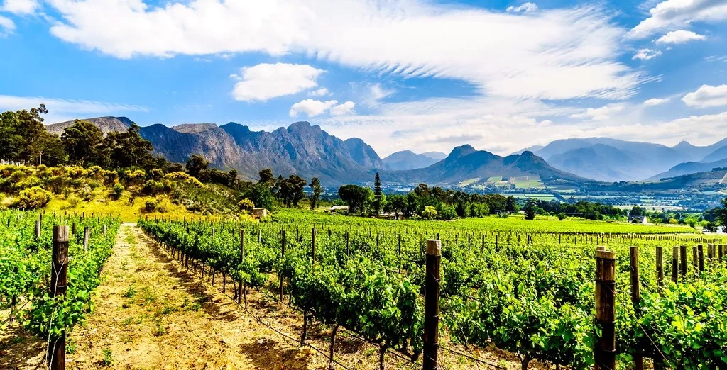 The Franschoek region of South Africa is a wine haven and one of the top african destinations