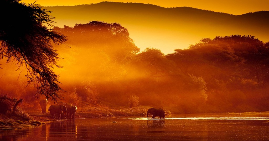 The lower zambezi national park is one of the greatest places on earth