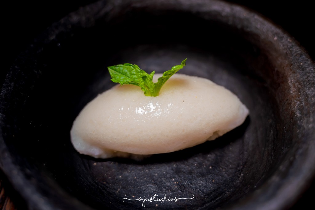 The sweet and soursop sorbet