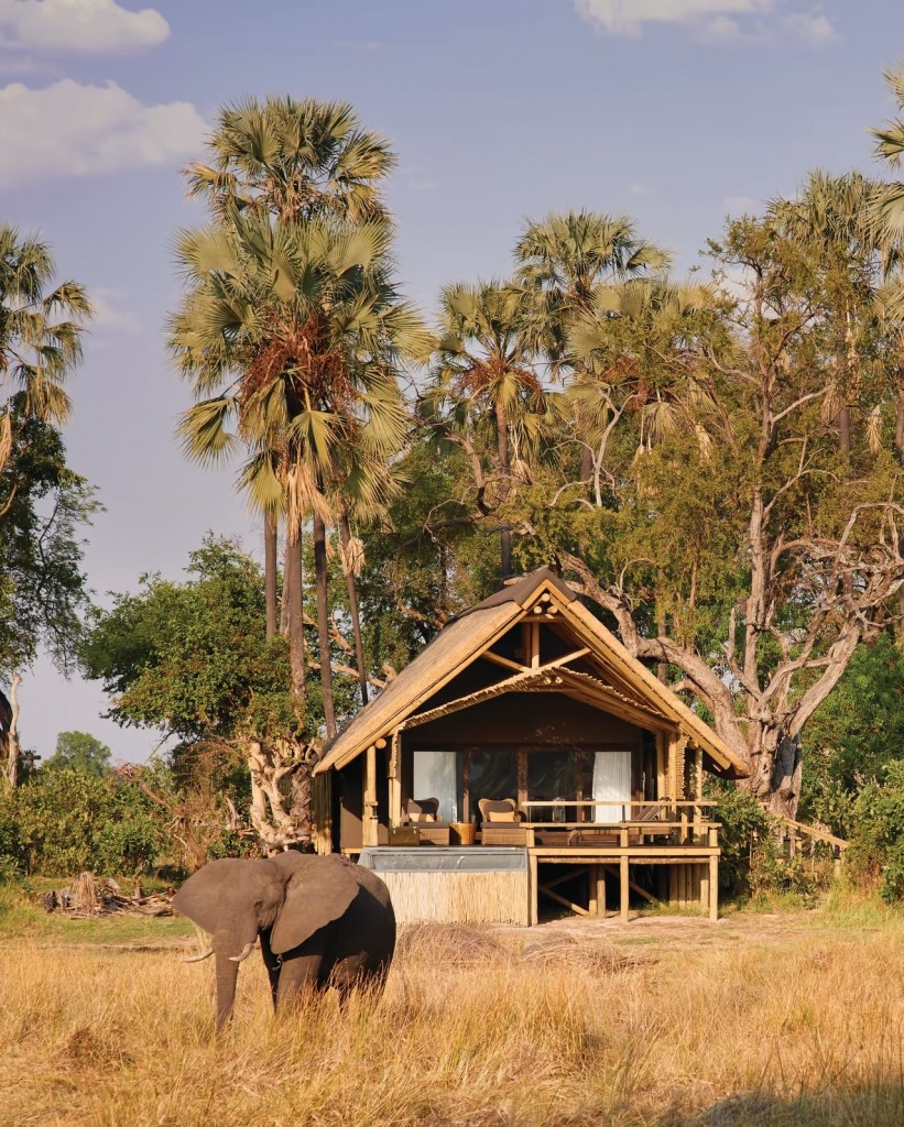 an elephant in front of a lodge at Belmond eagle island